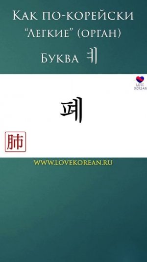 Как по-корейски "легкие"? #учимсвоютысячу