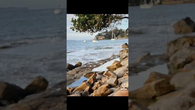 Зимнее купание в Австралии. Новый год в Июле! Bundeena Beach.