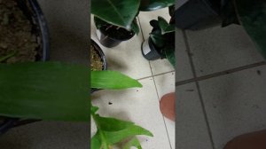 1000141877.mp4