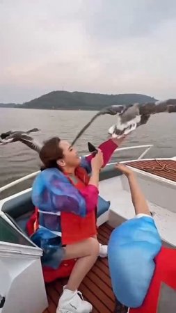 VID_20250706_120654_311.mp4