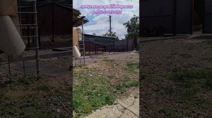 Бывает и так