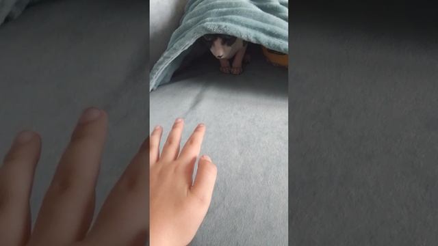 1000000368.mp4