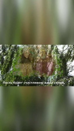 Музыкальное видео поздравление с Днем семьи, любви и верности