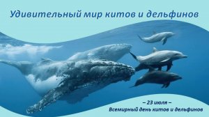 УДИВИТЕЛЬНЫЙ МИР КИТОВ И ДЕЛЬФИНОВ