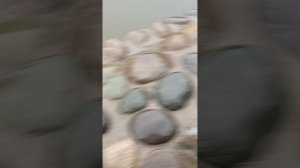 Зашли погреться к крокодилам 😨