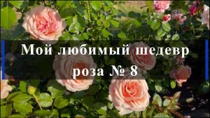 Мой любимый шедевр - роза № 8