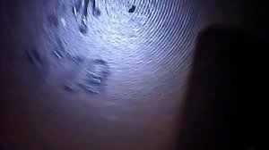 1000012149.mp4