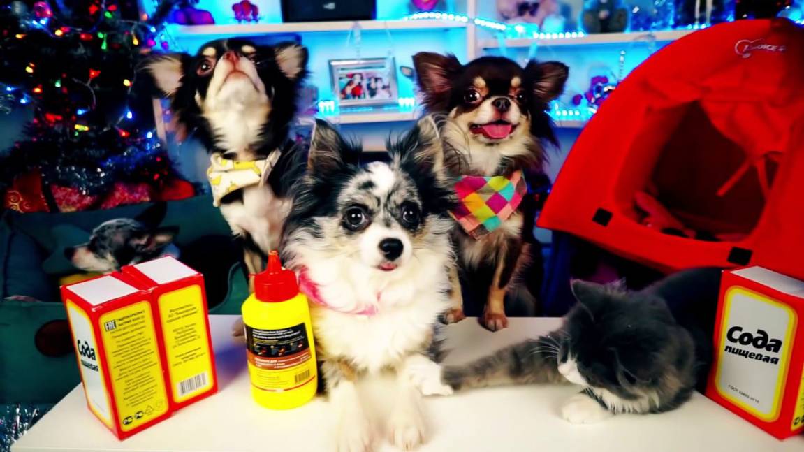 Создаём Новый год ❄️ Волшебный лес из покупок в Пятёрочке