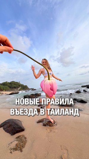 Все важное про миграционную карту для Таиланда и Малайзии