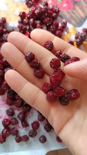 сушеная вишня