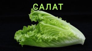 Учим где растут фрукты и овощи
