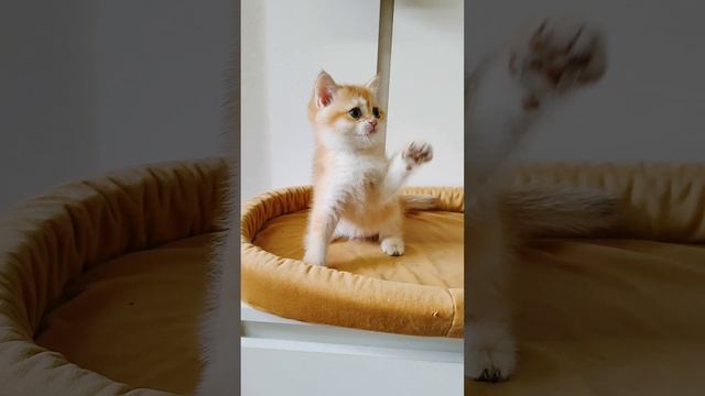1000009944.mp4