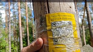 Пешеходная экскурсия от ст. Лемболово до бывшей деревни Хуухти.