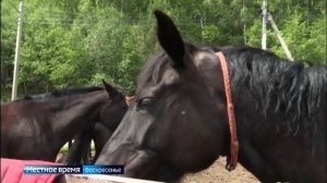 Выездное заседание Совета муниципальных образований при Законодательном собрании Иркутской области п