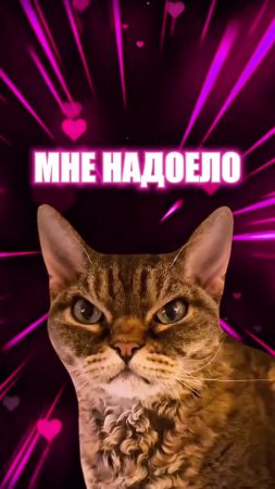 Подпишись 👉 https://vk.com/ykrasheniy_iz_kamny