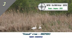 "Новый" став - ЗВЕРЕВО /#3 - Вояж - Апрель - 2025