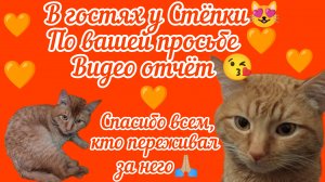 В гостях у Стёпки,по вашей просьбе 😻
Как поживает наш спасеныш? 🤷🏼♀️
