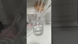 Шуточная песня " Светит месяц в небе ярко" Автор стихов и видео Ингвар Нитомак