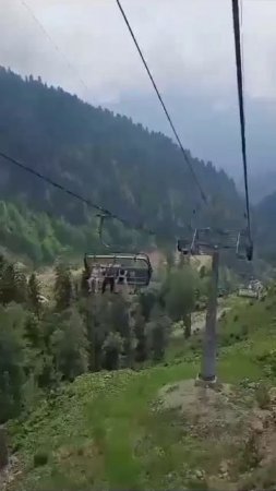 Догони... Сможешь?