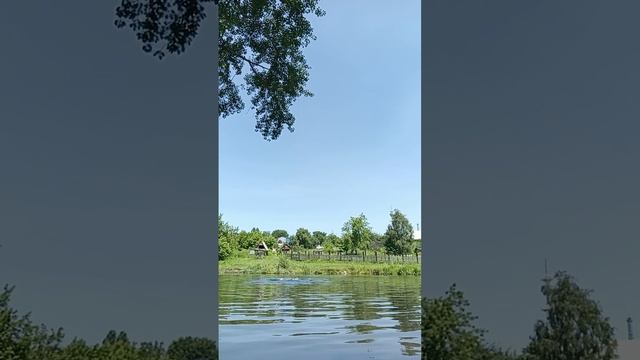 заплыв