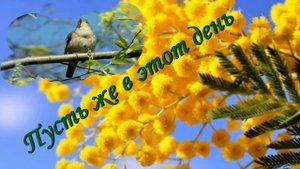 Я поздравляю милых дам