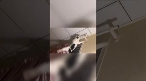 1000053147.mp4
