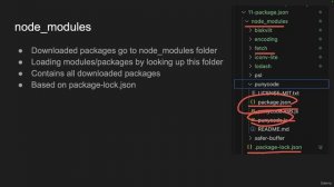 19 - Anatomy of Node Packages