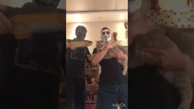Карточка видео