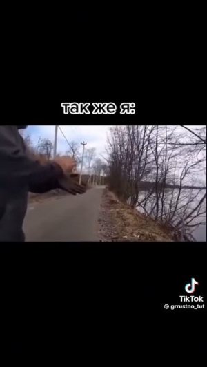 жизнь