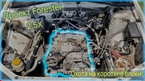 ГБЦ Subaru Forester, вскрытие покажет!