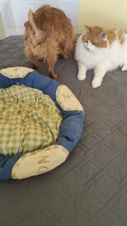 Доброе утро 🫶🥰💖