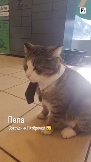 Пятерочке определили сотрудника месяца