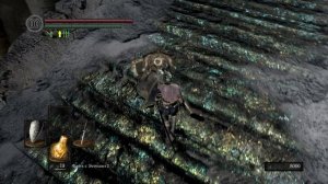 Dark Souls 1 Гвин Повелитель Пепла