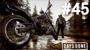 Days Gone прохождение #45