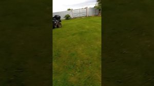 котик и басик Миша соревнуются KotikArsenio
