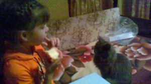 30102013048яблоко и котёнок