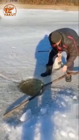 Клип сообщества Кулинарный марафон