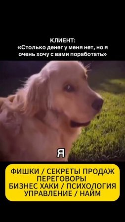 Когда у клиента нет денег
