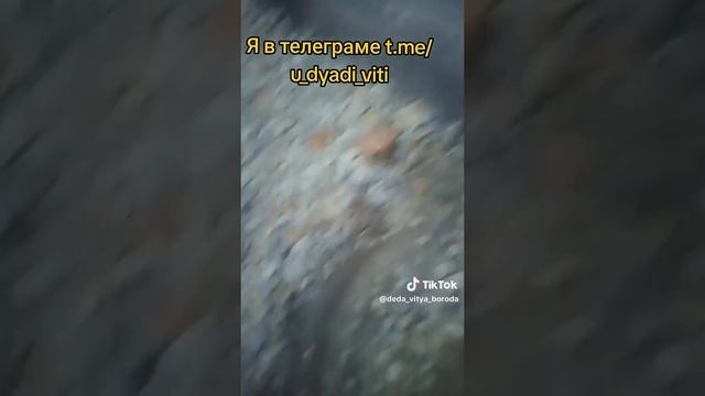 Ошибки дяди Вити, никогда не покупайте укрывной материал без СУФа. #агроволокно #огород #дядявитя