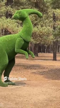 На прогулке