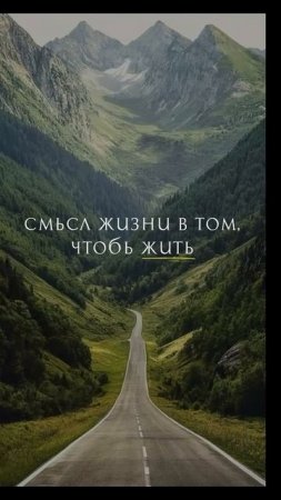 #смыслжизни #цитаты #цитата #цитатадня #жизнь #радость #доброеутро #счастье #неподкаст