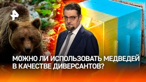 Почему медведи разрушают ульи, покрашенные в цвета украинского флага / ДОБРОВЭФИРЕ