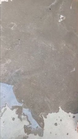 1000054330.mp4