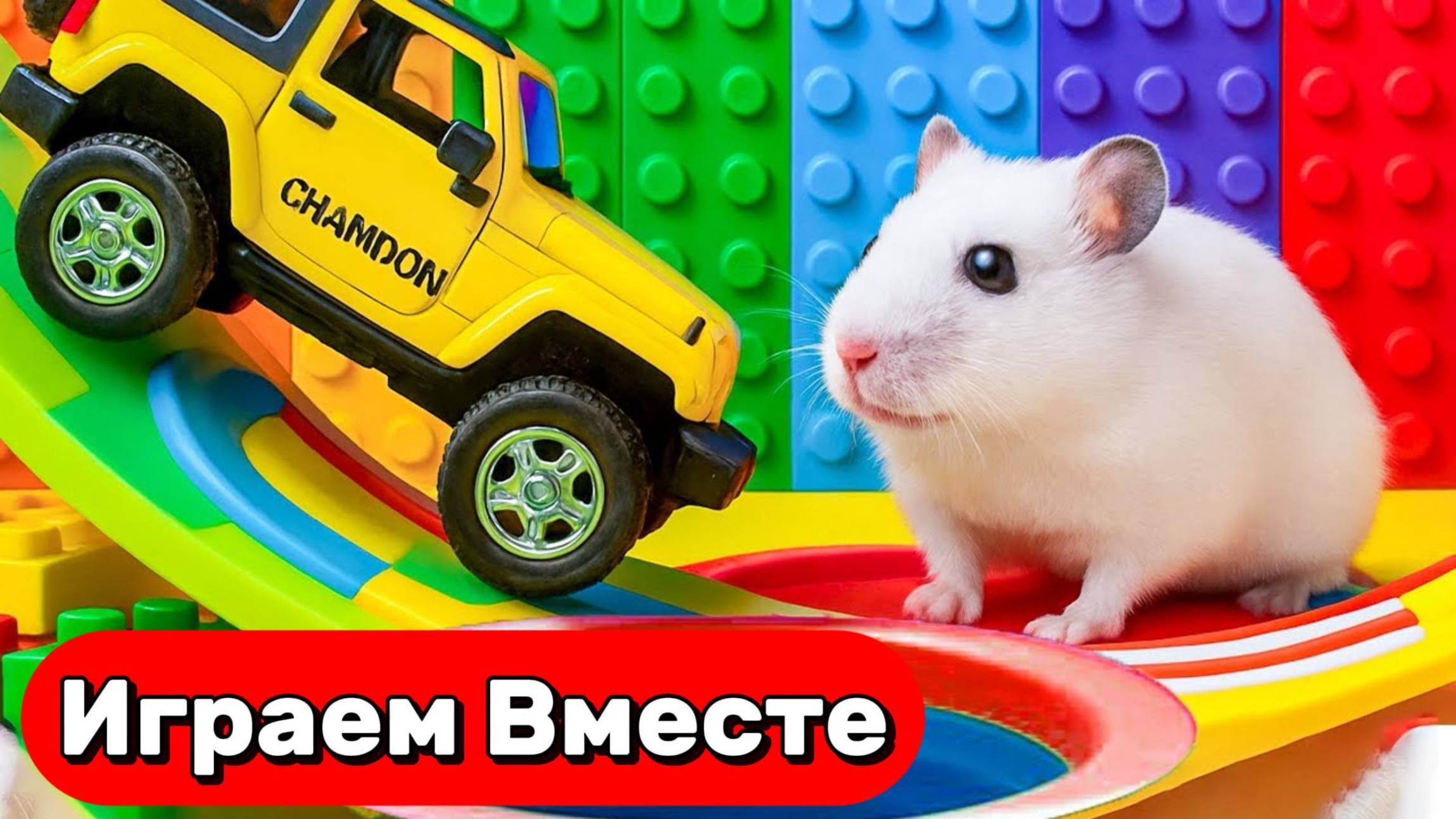 Увлекательные лабиринты для УМНОГО ХОМЯКА 🐹 Прохожим вместе ! Видео для детей