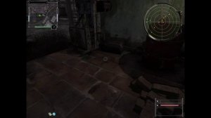 S.T.A.L.K.E.R.# Закоулки Правды