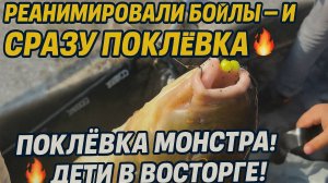 Реанимировали бойлы — и сразу поклёвка монстра! 🔥 Дети в восторге!