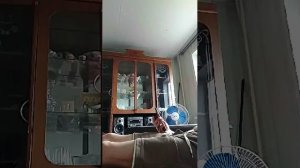 секс днём перед обедом
