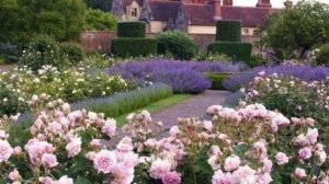 ВЕЛИКОЛЕПНЫЕ САДЫ АНГЛИИ. ЗНАМЕНИТЫЙ BORDE HILL GARDEN 2025 Сердце Сассекса