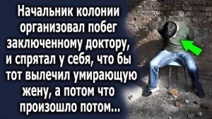 Начальник колонии организовал побег заключенному доктору и спрятал у себя, чтобы тот вылечил...