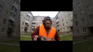 Работяга